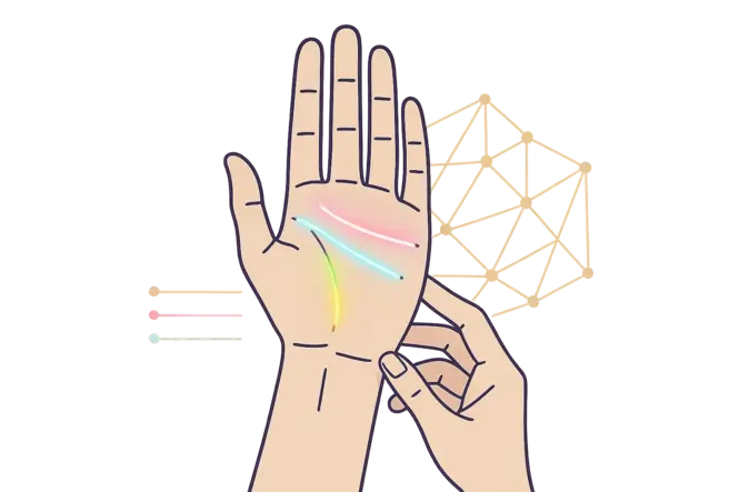 Professional & Accurate